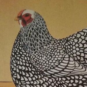 Meet your Posher, Abigail